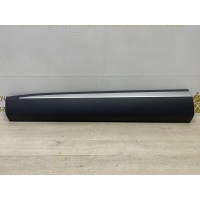 Молдинг двери Exeed RX T22 2023-2024 609001538AA