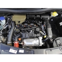 Citroen jumpy peugeot expert fiat scudo toyota proace двигатель 1.5 hdi dv5r
