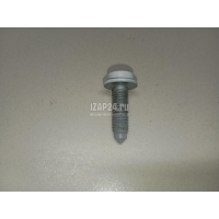 Болт крепления дверной петли VAG A5/S5 (F5) 2017 WHT007978