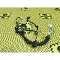 Проводка двери Nissan Qashqai J10 2011 24127EY10B