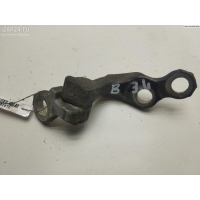 Петля двери задней левой Ford Focus II (2004-2011) 2009