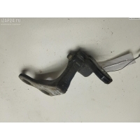 Петля двери задней левой Ford Focus II (2004-2011) 2009