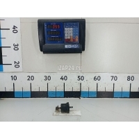 Подушка Renault TRUCK FH (1993 - 2001) 7420593022
