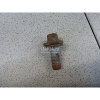 Болт цапфы Renault Captur (2013 - 2019) 8200786585