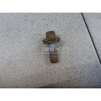 Болт цапфы Renault Captur (2013 - 2019) 8200786585