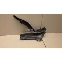 Петля капота правая Hyundai-Kia Santa Fe (TM) 2018 66920S1500