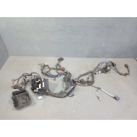 Проводка (коса) Hyundai Palisade 91210S8210
