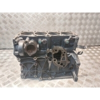 Blok двигателя volkswagen гольф v gti 2.0 fsi 06f103021d bwa
