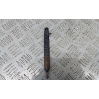 форсунка топливная Renault Megane 3 поколение 2012 166000897R,8200827965