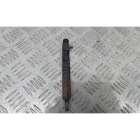 форсунка топливная Renault Megane 3 поколение 2012 166000897R,8200827965