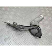петля капота левая Renault Clio 3 поколение 2008 719033