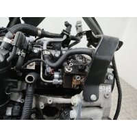 ТНВД Opel Insignia A 2011 0445010193,55571005