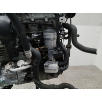 корпус масляного фильтра Volkswagen Passat B6 2009 045115389