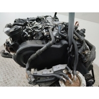 защита (кожух) ремня ГРМ Volkswagen Passat B6 2009