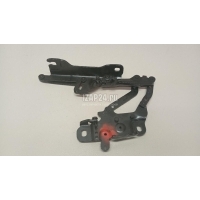 Петля капота правая BMW 3-serie G20/G21 2018 41008494432