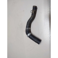Шланг системы охлаждения Hyundai-Kia K5 2020 25450L1200