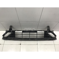 Решетка в бампер центральная Hyundai-Kia K5 2020 86531L2000