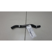 Шланг системы охлаждения Hyundai-Kia K5 2020 254732M800