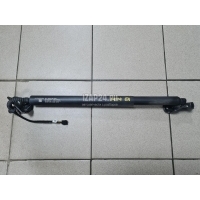 Амортизатор двери багажника Chery Exceed TXL 2020 554000580AA