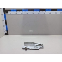 Петля капота левая Hyundai-Kia Carnival 2014 79110A9900