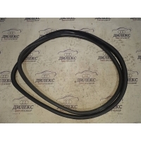 уплотнитель двери BMW X5 E70 2007-2013 2007 51767220381