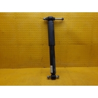 Амортизатор Ford Transit TT9 2022 1933016, FK3118080FA