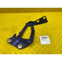 Петля капота Ford Transit TT9 2022 KK3116801AB, 2421364