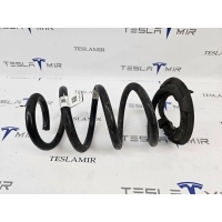 Пружина задняя Tesla Model 3 2019 1044472-00,1044472-01