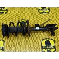 Амортизатор подвески Nissan Murano Z51 2011 E43031AN0B, 540101AN0B