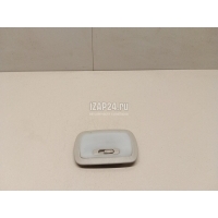Плафон салонный Great Wall Jolion 2021 4123100XPW01AF4