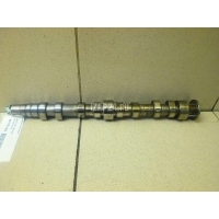 Распредвал выпускной VAG Leon (1M1) (1999 - 2006) 036109101AA