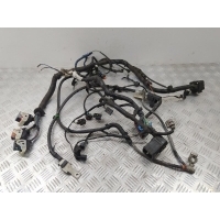 Проводка двигателя Ford Focus II (2005-2011) 2009