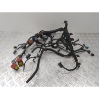 Проводка двигателя Renault Laguna II (2000-2007) 2007 8200674197