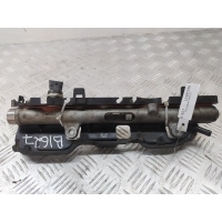 Топливная рампа Renault Laguna II (2000-2007) 2007 0445214116