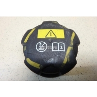 Крышка расширительного бачка BMW Paceman R61 (2012 - 2016) 17117639024