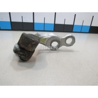 Петля двери задней левой нижняя Ford Focus II (2005 - 2008) 5012218