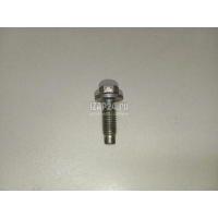 Болт Ford Focus II (2005 - 2008) 1305834