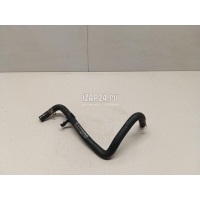 Патрубок GM Astra G (1998 - 2005) 55555684