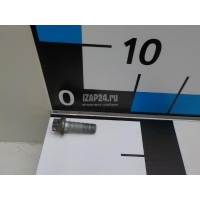 Болт GM Omega B (1994 - 2003) 11094761