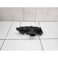Коллектор впускной Geely Atlas Pro 2021- 2029024600