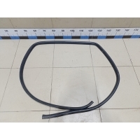 Уплотнитель (внутри) TOYOTA Land Cruiser (150)-Prado 2009> 6233260090C0