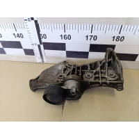 Натяжитель ремня RENAULT Megane II 2002-2009 117501113R