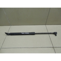Амортизатор двери багажника HYUNDAI Santa Fe (CM) 2006-2012 817702B001