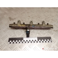 топливная рампа Peugeot 307 2007 0281002283,0445214019