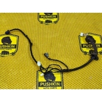 Проводка двери Nissan Qashqai J10 2012 24126JD10B