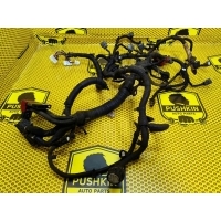 Проводка двигателя Nissan Qashqai J10 2012 24011BB90C
