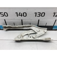 Петля капота правая Hyundai-Kia K5 2020 66920L2000