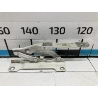Петля капота левая Hyundai-Kia K5 2020 66910L2000