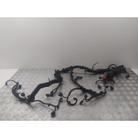 Проводка двигателя Ford Fiesta 6 (2008-2013) 2010