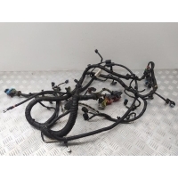 Проводка двигателя Ford Focus III (2011-2014) 2012 AV6T12A690